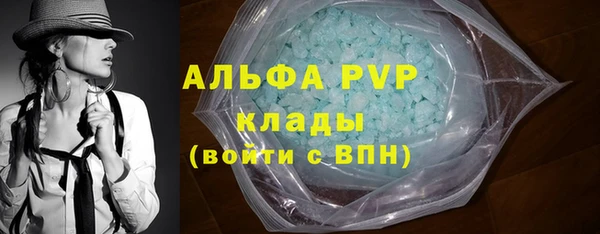 мяу мяу мука Абаза