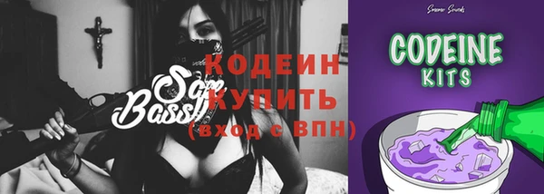 шишки Гусиноозёрск