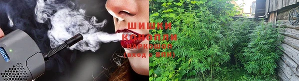 дмт Касимов
