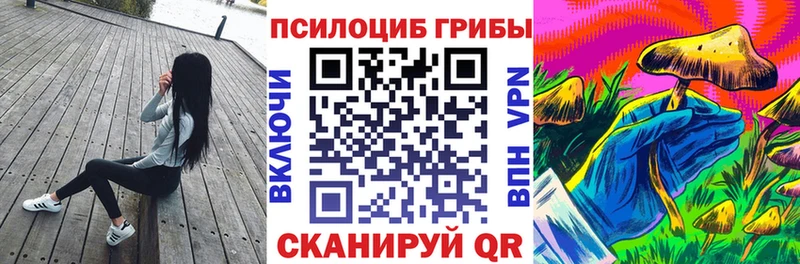 Псилоцибиновые грибы GOLDEN TEACHER  Новоалександровск 